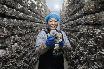 走在前 开新局！闯出绿色循环'大村模式'，引领食用农产品高质量发展