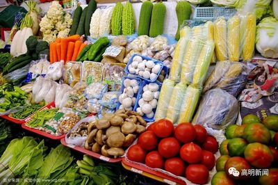 高明首座农产品快检室投用，织密餐桌安全防护网