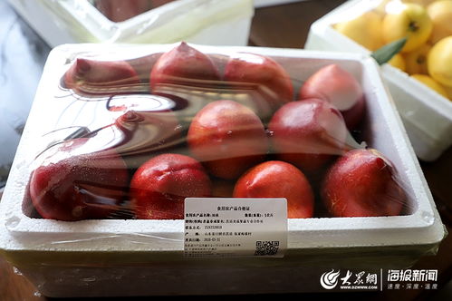日照市试行食用农产品合格证制度推进现场会在莒县召开